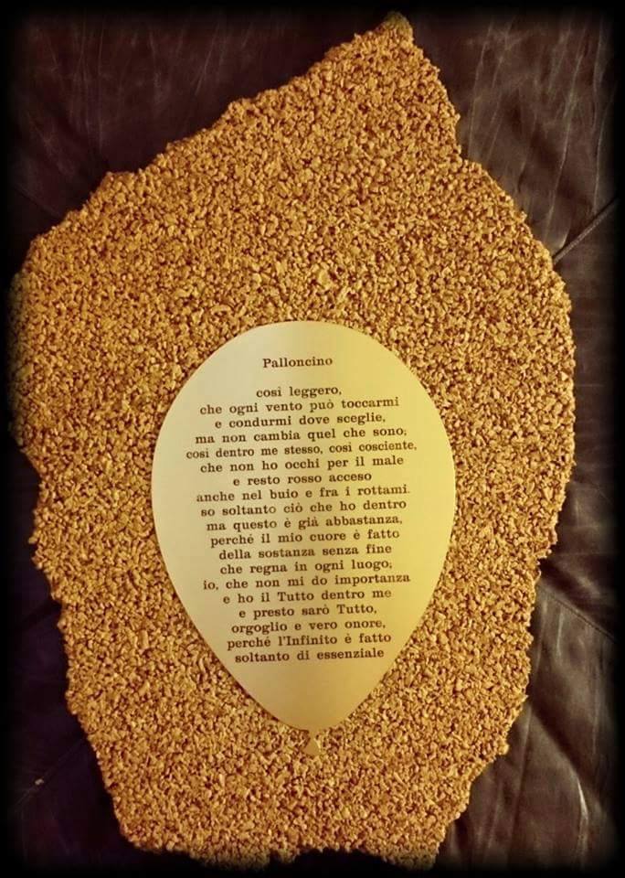 11138638_10206872164347861_6193586005080786537_n