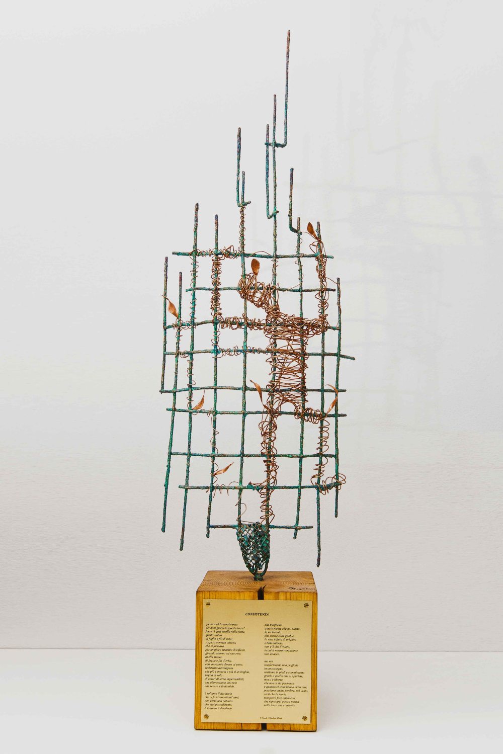 _MG_0837-Modifica copia